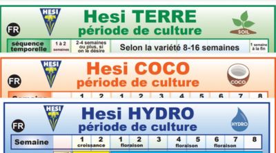 Nos schémas de culture avec les engrais Hesi terre, coco et hydro