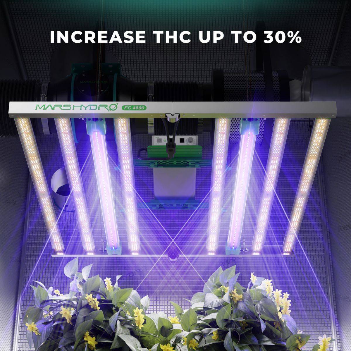 Augmentez le THC avec Mars Hydro UV30